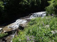 MOORES-SILVER FALLS 6-7-2015_00004.JPG