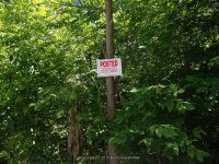 SILVER-MOORES FALLS 6-7-2015_00004.JPG