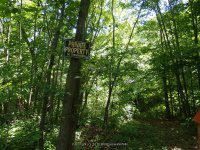 SILVER-MOORES FALLS 6-7-2015_00005.JPG