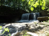 SILVER-MOORES FALLS 6-7-2015_00006.JPG