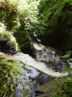 WHETSTONE 2ND SECTION 6-7-2015_00009.JPG