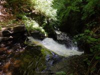 WHETSTONE 2ND SECTION 6-7-2015_00011.JPG