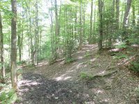 WHETSTONE FIRST SECTION 6-7-2015_00004.JPG