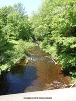 WHETSTONE TRAIL START 6-7-2015_00003.JPG