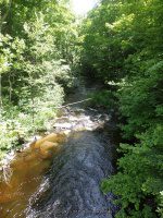 WHETSTONE TRAIL START 6-7-2015_00004.JPG