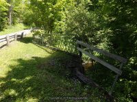WHETSTONE TRAIL START 6-7-2015_00006.JPG