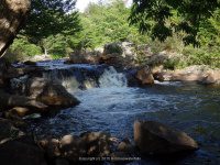 OTTER CREEK falls on 6-7-2015_00010.JPG