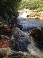 ALONG WEST SIDE TRAIL 6-7-2015_00005.JPG