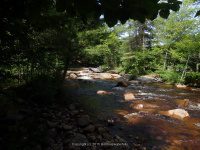 ALONG WEST SIDE TRAIL 6-7-2015_00007.JPG