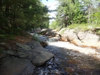 ALONG WEST SIDE TRAIL 6-7-2015_00012.JPG