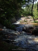 ALONG WEST SIDE TRAIL 6-7-2015_00018.JPG