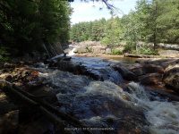 ALONG WEST SIDE TRAIL 6-7-2015_00019.JPG