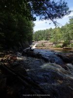 ALONG WEST SIDE TRAIL 6-7-2015_00020.JPG
