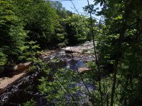 ALONG WEST SIDE TRAIL 6-7-2015_00024.JPG