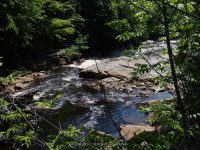 ALONG WEST SIDE TRAIL 6-7-2015_00025.JPG