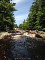 AT BRIDGE LOOKING UPSTREAM 6-7-2015_00002.JPG
