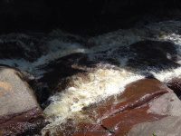 BELOW BRIDGE 6-7-2015_00002.JPG