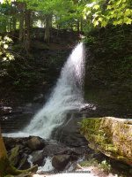 BUCKTAIL FALLS ONONADAGA 6-14-2015_00002.JPG