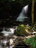 BUCKTAIL FALLS ONONADAGA 6-14-2015_00004.JPG