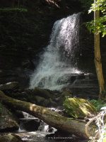 BUCKTAIL FALLS ONONADAGA 6-14-2015_00006.JPG