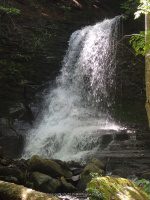 BUCKTAIL FALLS ONONADAGA 6-14-2015_00007.JPG