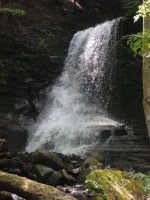 BUCKTAIL FALLS ONONADAGA 6-14-2015_00008.JPG