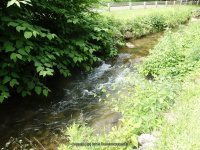 ELMWOOD PARK WATERFALLS ONONADAGA 6-14-2015_00006.JPG