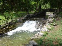 ELMWOOD PARK WATERFALLS ONONADAGA 6-14-2015_00012.JPG