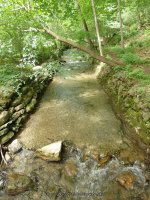 ELMWOOD PARK WATERFALLS ONONADAGA 6-14-2015_00018.JPG