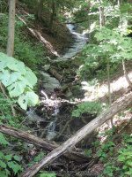 BUCKTAIL FALLS ONONADAGA 6-14-2015_00014.JPG