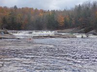 Double Drop IV Rapids Moose 10-17-2015_00016.JPG
