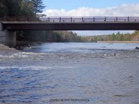 Fowlersville Bridge Rapids 10-17-2015_00006.JPG