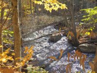 Fish Creek falls on (2) 10-18-2015_00003.JPG
