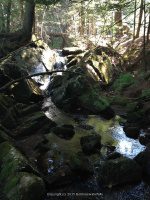 Harvey Creek falls on 9-7-2015_00001.JPG