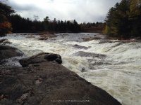 Shurform IV Rapids Moose 10-18-2015_00008.JPG