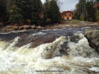 Shurform IV Rapids Moose 10-18-2015_00009.JPG