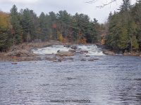 Shurform IV Rapids Moose 10-18-2015_00012.JPG