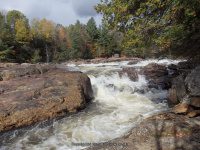 Shurform IV Rapids Moose 10-18-2015_00017.JPG