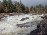 Shurform IV Rapids Moose 10-18-2015_00024.JPG