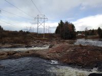 Powerline III Rapids Moose 10-18-2015_00002.JPG