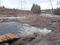 Powerline III Rapids Moose 10-18-2015_00003.JPG