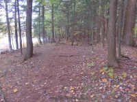 Powerline III Rapids Moose 10-18-2015_00010.JPG