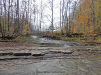 Gulf Creek falls on 10-17-2015_00001.JPG