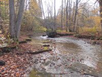 Gulf Creek falls on 10-17-2015_00011.JPG