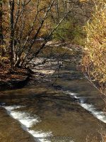 Big Brook falls on 274E 10-11-2015_00002.JPG