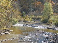 Big Brook falls on 274E 10-11-2015_00006.JPG