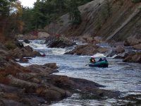 Knifes Edge Rapids Moose 10-17-2015_00001.JPG