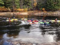 Knifes Edge Rapids Moose 10-17-2015_00002.JPG