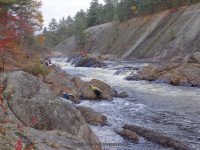 Knifes Edge Rapids Moose 10-17-2015_00016.JPG