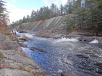Knifes Edge Rapids Moose 10-17-2015_00020.JPG